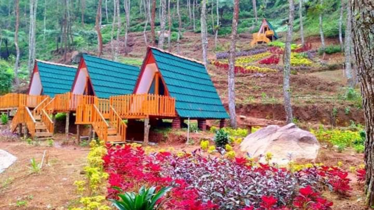 Telomoyo Nature Park: Menjelajahi Keindahan Alam di Lereng Merapi